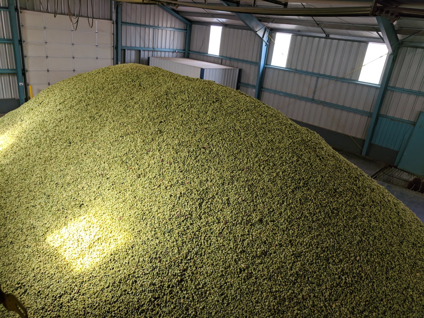 Crosby Hop Farm Centennial Hop Harvest Cooling Room Above