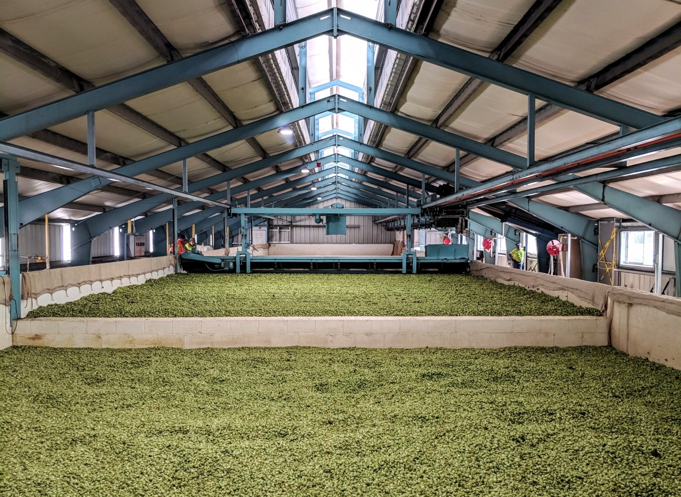 Crosby Hop Farm Centennial Hop Harvest Drying Room Long View