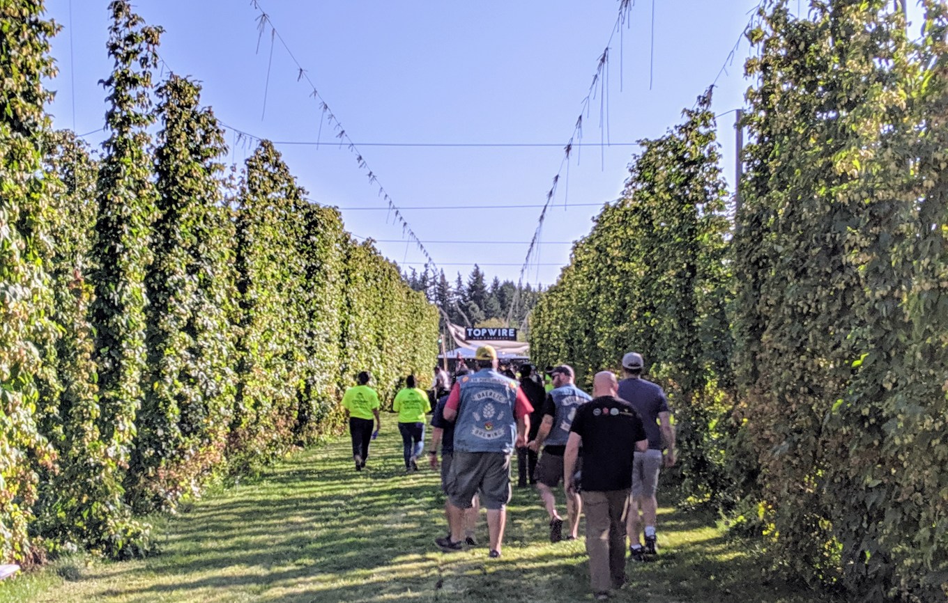 Crosby Hop Harvest Party 2019.jpg