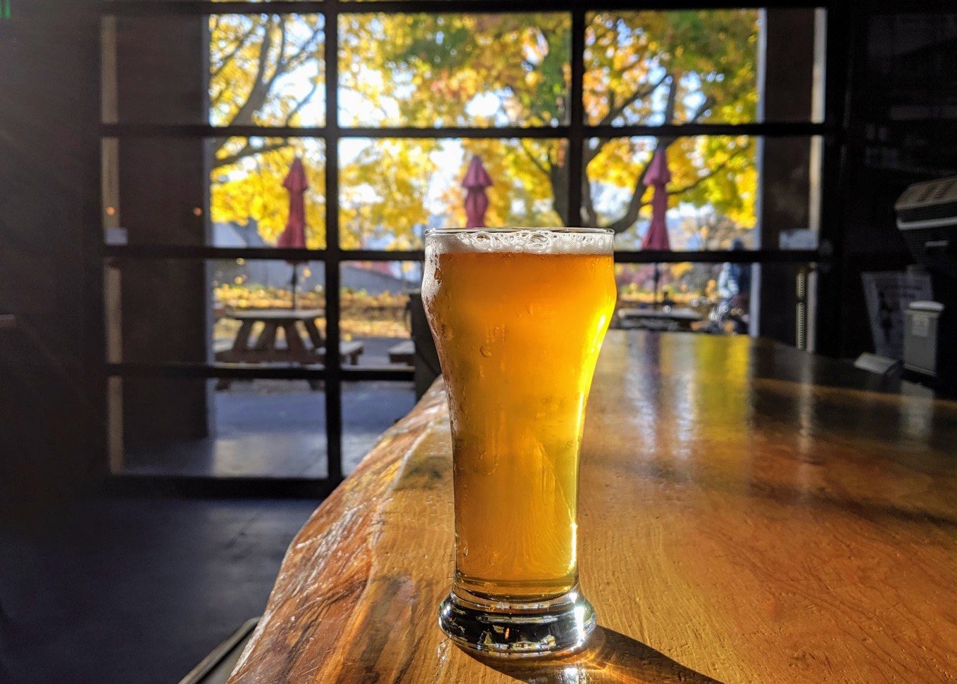 Ex Novo Paler Swift Pale Ale